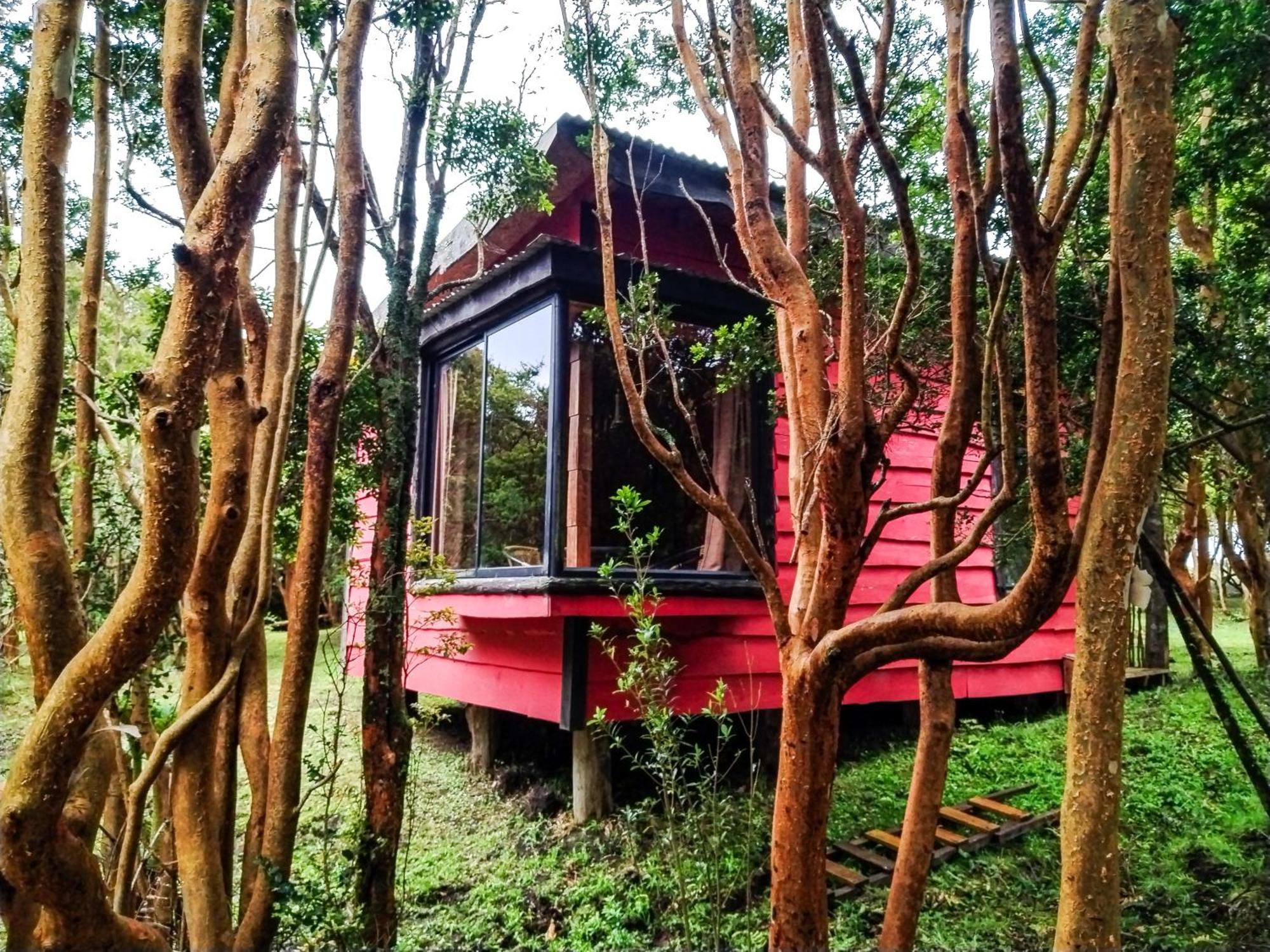 Hostal & Cabanas Luna Del Sur Cucao المظهر الخارجي الصورة